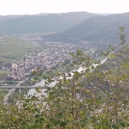 Ferienwohnungen Am Bruttiger Moselsteig Exteriér fotografie
