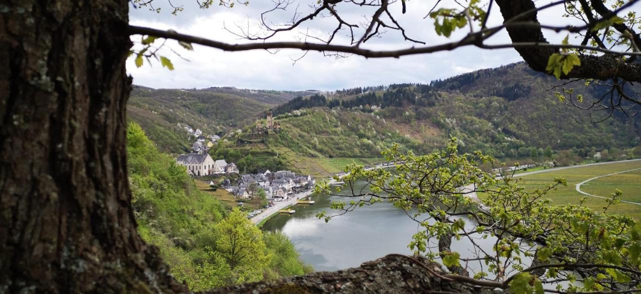 Ferienwohnungen Am Bruttiger Moselsteig Exteriér fotografie