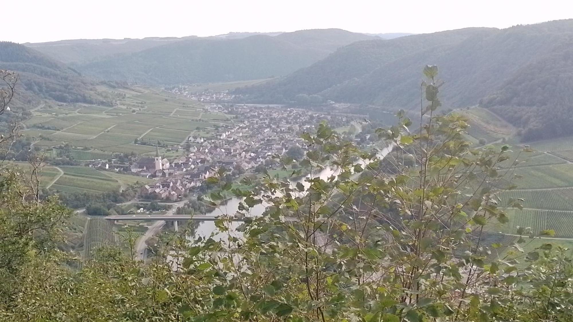 Ferienwohnungen Am Bruttiger Moselsteig Exteriér fotografie