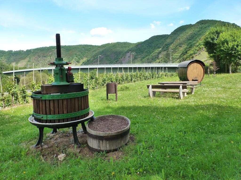 Ferienwohnungen Am Bruttiger Moselsteig Pokoj fotografie
