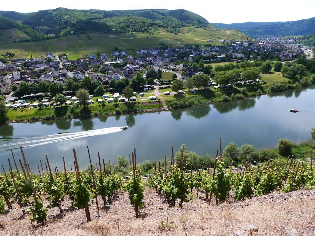 Ferienwohnungen Am Bruttiger Moselsteig Exteriér fotografie