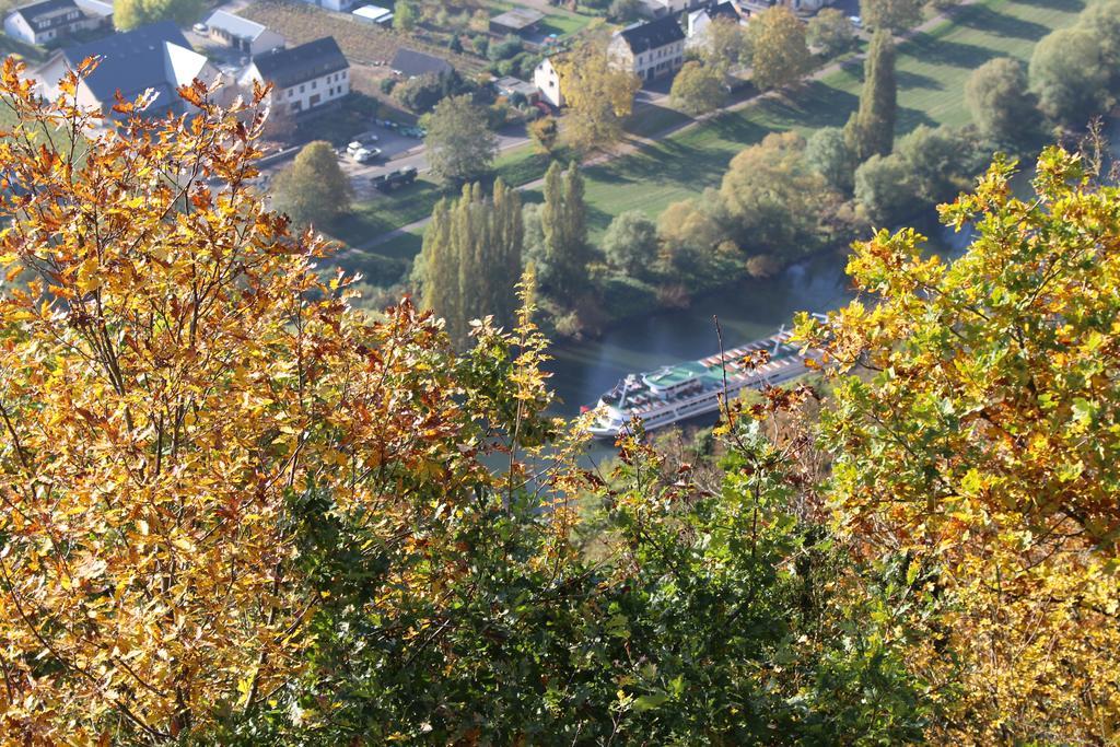 Ferienwohnungen Am Bruttiger Moselsteig Exteriér fotografie