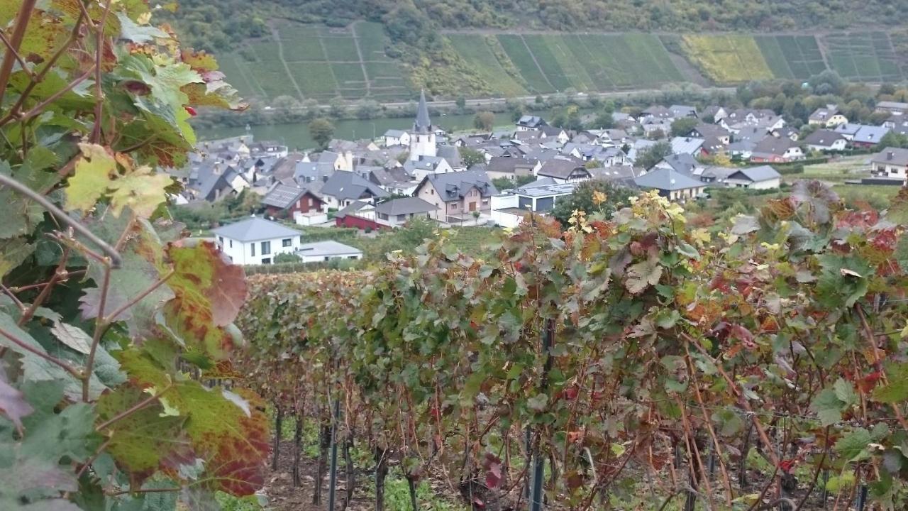 Ferienwohnungen Am Bruttiger Moselsteig Exteriér fotografie